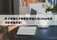 武汉有哪几个明星区块链公司[2020年武汉区块链大会]