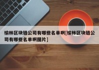 榆林区块链公司有哪些名单啊[榆林区块链公司有哪些名单啊图片]